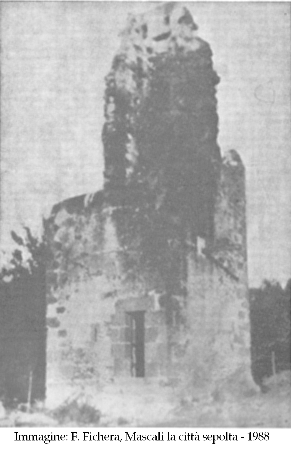 Cannamele in sicilia